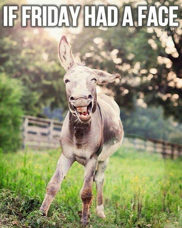 Happy Friday!!
#happyfriday #sydney #melbourne #adelaide #perth #brisbane #darwin #getyourfreakon #friday #friyay #itsthefreakinweekend